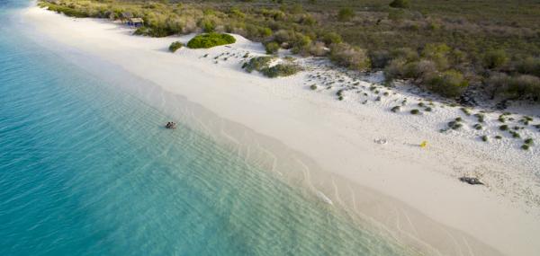 Limpiesa i reforestashon na Klein Bonaire