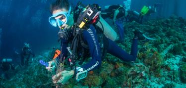 Fishing line clean-up dive