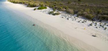 Limpiesa i reforestashon na Klein Bonaire